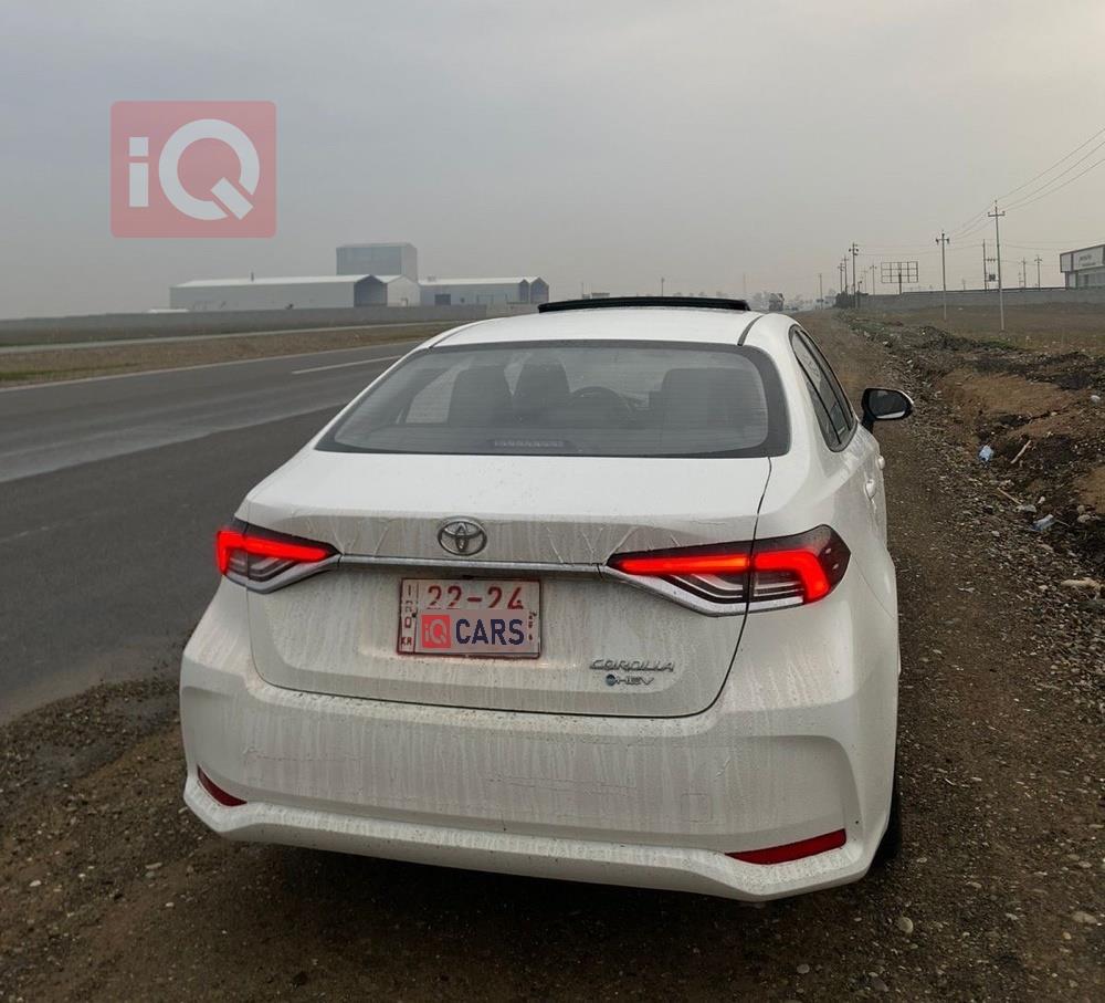 تويوتا كورولا